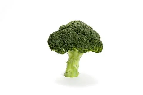 Isolated broccoli on a white background Stock Photos