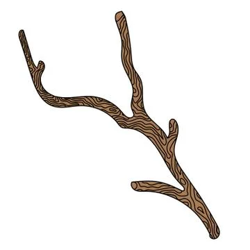 Isolated brown branch with bark without leaves on a white background stylized. Stock Illustration