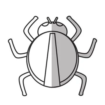 Isolated bug design Ilustración de archivo