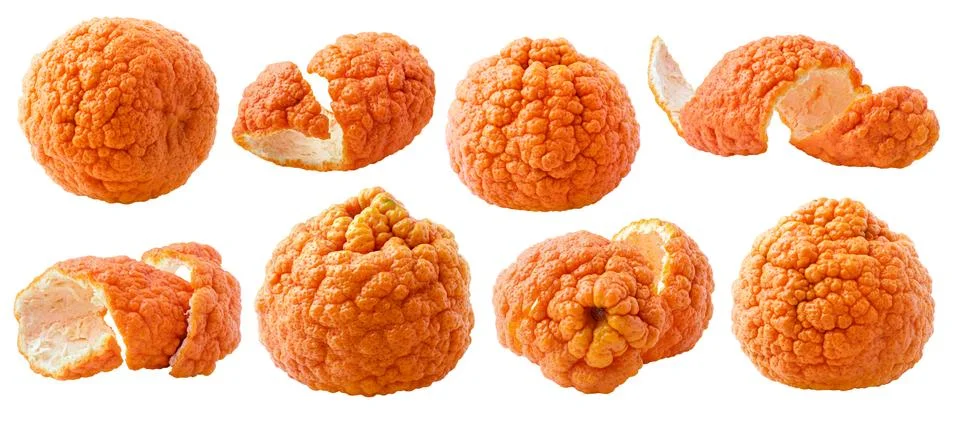 Isolated bumpy tangerines collection 写真素材