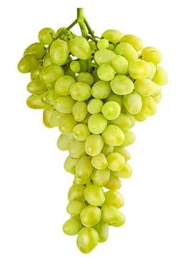 Isolated bunch of grapes Stock Photos