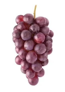 Isolated bunch of red grapes Stock Photos