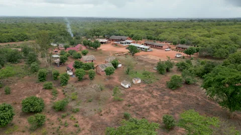 Isolated bush camp Stock Footage 331457402