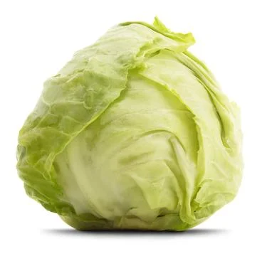 Isolated Cabbage Foto stock