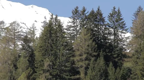 Isolated Cabin in Mountains Stock Footage 67597040