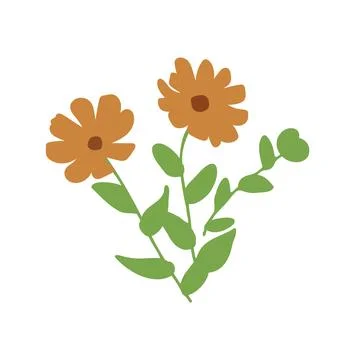Isolated calendula flower Stock-Illustration