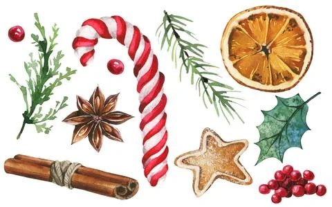 Isolated candy cane, gingerbread, anise star, branch leaves, red berries, holly Stock Illustration
