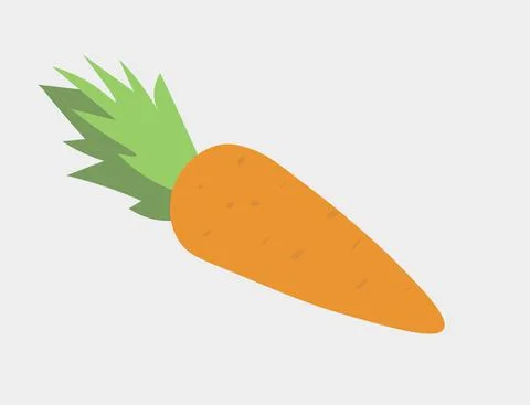 Isolated Carrot Vector Illustration with shadows on white background. Stock Illustration