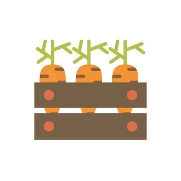 Isolated carrots inside box flat style icon vector design Stock Illustration