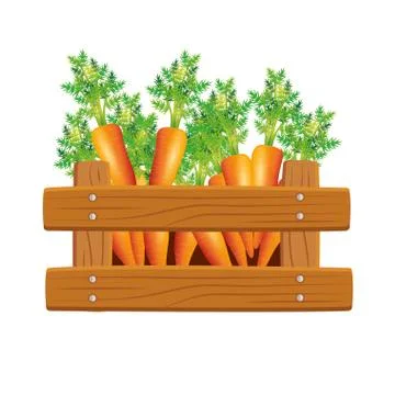 Isolated carrots inside box vector design Stock Illustration