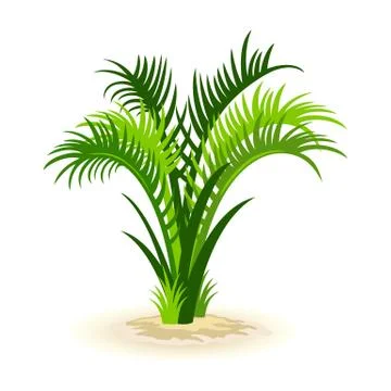 Isolated cartoon vector image shows green roystonea palm Stock Illustration