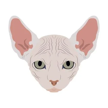 Isolated cat avatar Stock Illustration