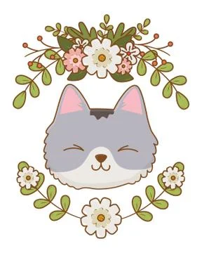 Isolated cat cartoon design vector illustrator Stock Illustration