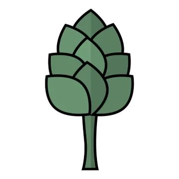 Isolated cauliflower icon Stock Illustration