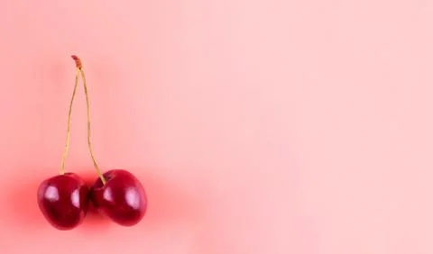 Isolated cherries on pink background.  Two sweet cherry fruits close up. Fl.. Stock Photos
