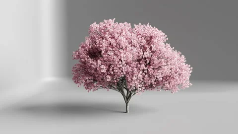 Isolated cherry blossom digital concept art Stock Footage 220479989