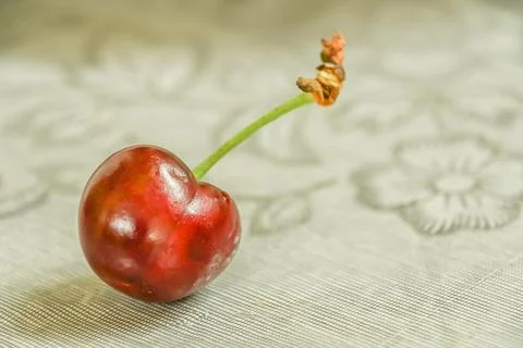 Isolated cherry Stock Photos