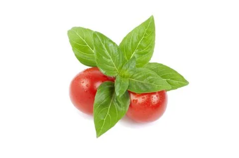 Isolated cherry tomatoes with leaf of basil on white Stock Photos