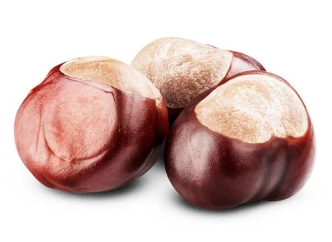 Isolated chestnut Stock Photos