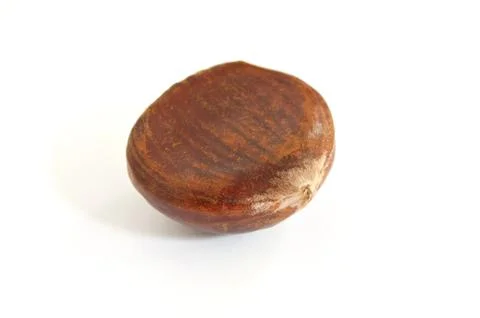 Isolated chestnut Stock Photos
