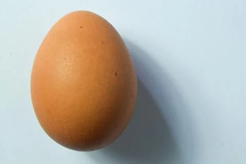 Isolated Chicken Single Chicken egg on white background Stock Photos