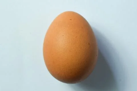 Isolated Chicken Single Chicken egg on white background Stock Photos