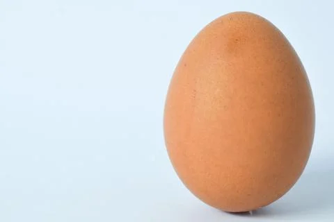 Isolated Chicken Single Chicken egg on white background Foto stock