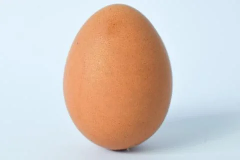 Isolated Chicken Single Chicken egg on white background Stock Photos