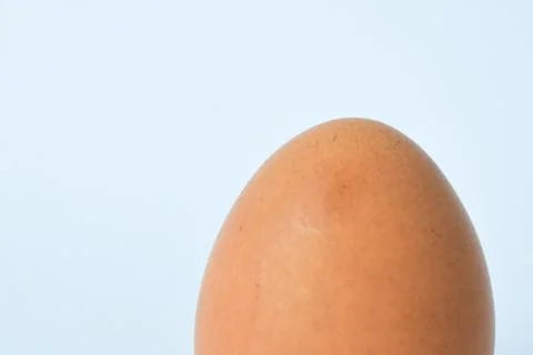 Isolated Chicken Single Chicken egg on white background Foto stock