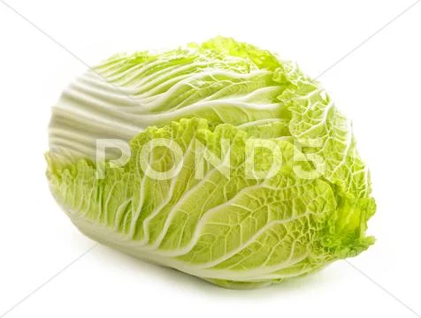 Isolated chinese cabbage Stock Photos