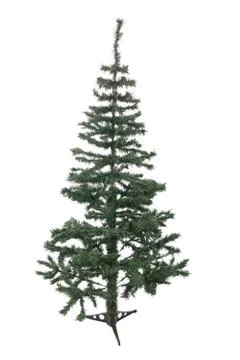 An isolated christmas tree Stock Photos