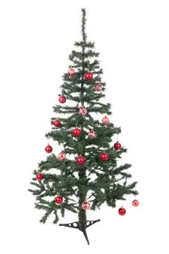 An isolated christmas tree Stock Photos