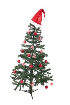 An isolated christmas tree Stock Photos