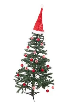 An isolated christmas tree Stock Photos