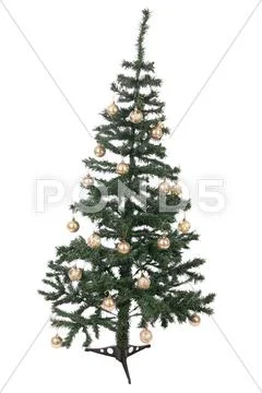 An isolated christmas tree Stock Photos