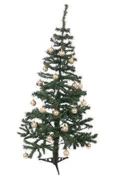 An isolated christmas tree Stock Photos