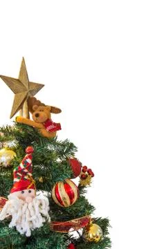 Isolated, Christmas Tree Stock Photos
