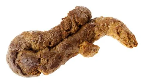 Isolated chunk of shit Stock Photos