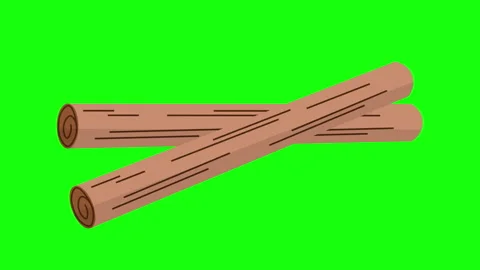 Isolated cinnamon sticks Stock Footage 260100491