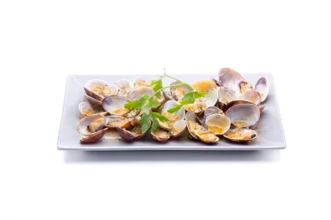 Isolated clams Stock Photos