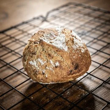Isolated classic bread bun on a grill 库存照片