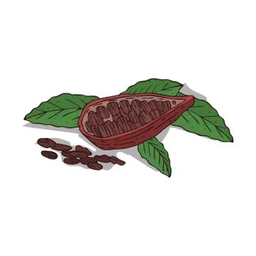 Isolated clipart Cocoa Stock Illustration