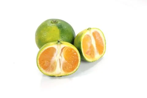 Isolated closeup of split and whole green tangerines on white background Stock Photos