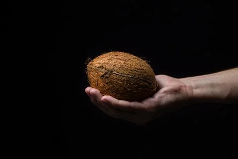 Isolated coconut on a black background. Stock Photos