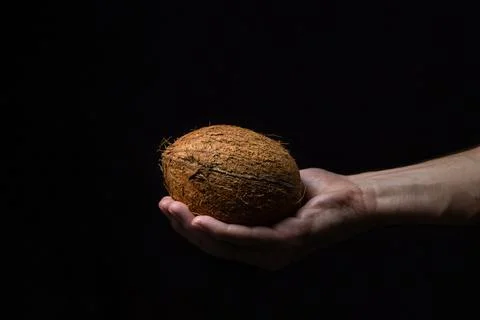 Isolated coconut on a black background. Stock Photos