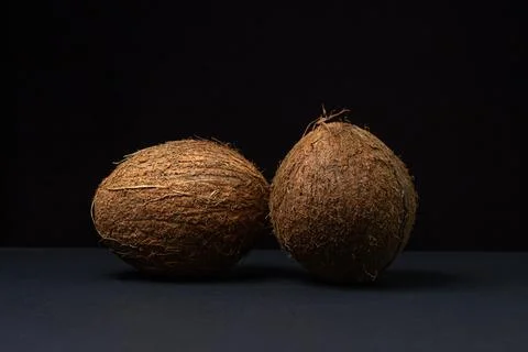 Isolated coconut on a black background. Two whole coconuts on a dark background. Stock Photos