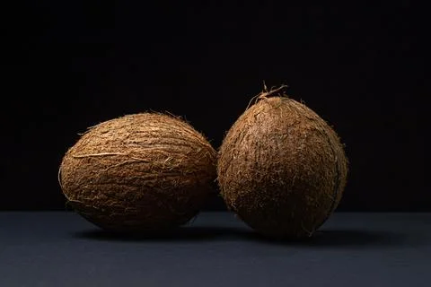 Isolated coconut on a black background. Two whole coconuts on a dark background. Stock Photos