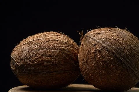 Isolated coconut on a black background. Two whole coconuts on a dark background. Stock Photos