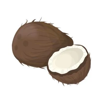 Isolated coconut nut. Stock Illustration