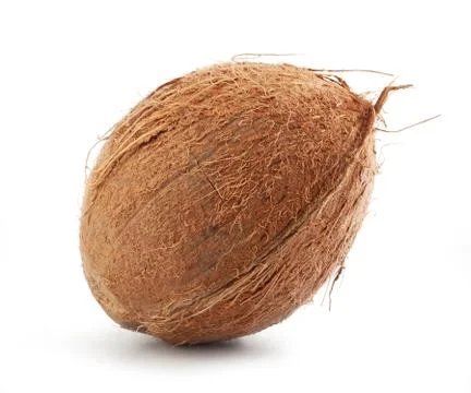 Isolated coconut Stock Photos